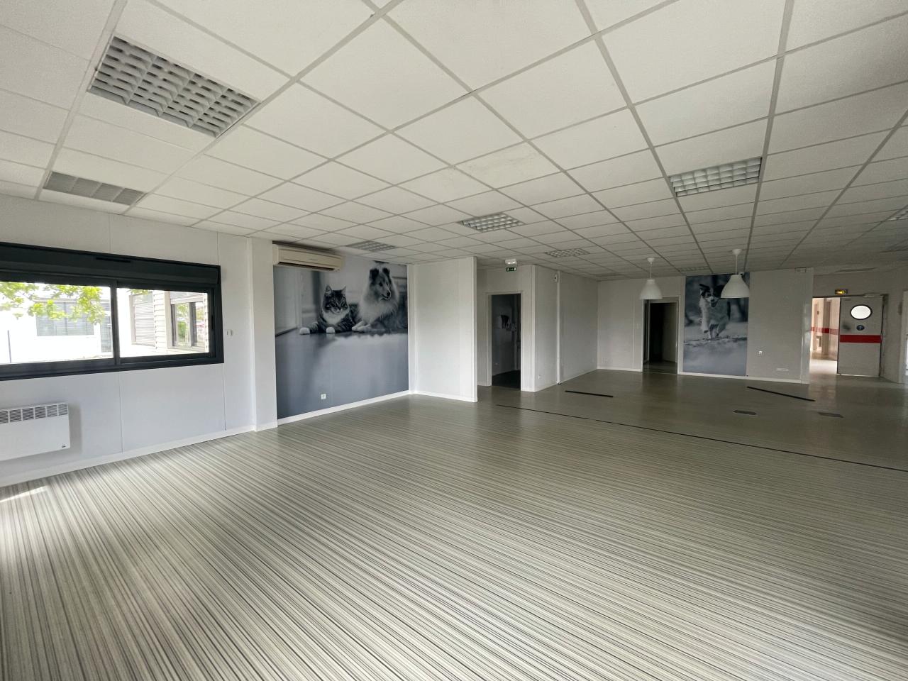 Local d'activité Eysines 778m² Vente local d'activité Eysines Gironde OVACT2531655 12